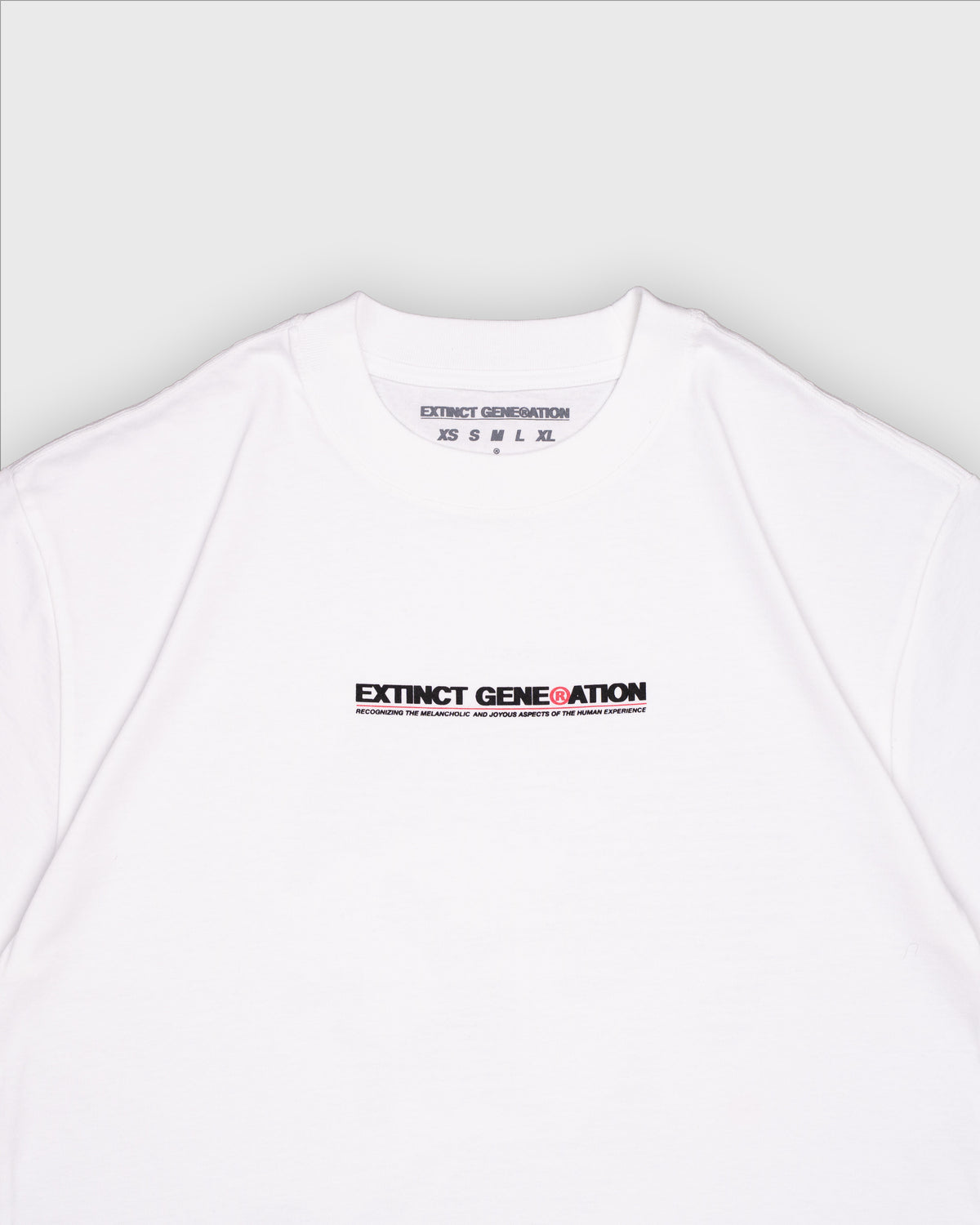 Skelly Basic V2, A Heavy Faded White Tee